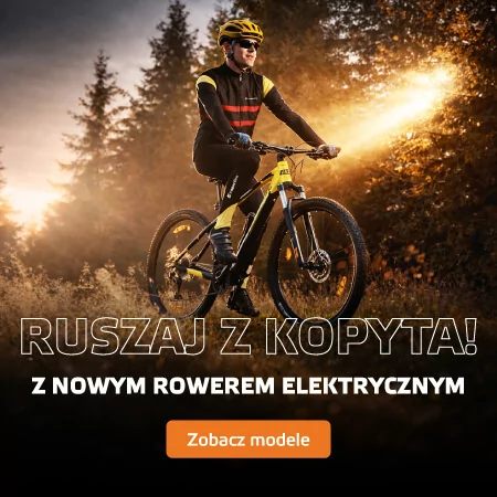 Rowery elektryczne