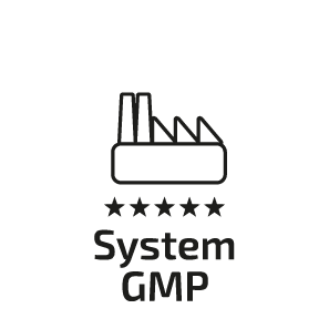 System GMP