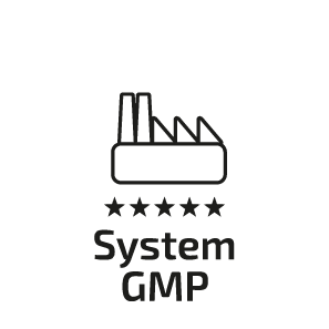 systemu GMP