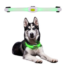 Światło LED dla psa Petsaber Maxi do obroży