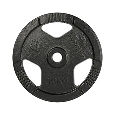 Obciążenie żeliwne inSPORTline Hamerton Black 10 kg ∙ otwór 30 mm ∙ praktyczne uchwyty ∙ odporna powłoka