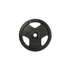 Obciążenie żeliwne inSPORTline Hamerton Black 1,25 kg ∙ otwór 30 mm ∙ praktyczne uchwyty ∙ odporna powłoka
