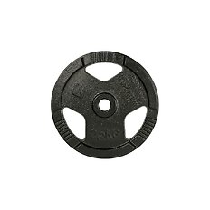 Obciążenie żeliwne inSPORTline Hamerton Black 2,5 kg ∙ otwór 30 mm ∙ praktyczne uchwyty ∙ odporna powłoka