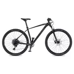 Rower górski 4EVER Horizzont 29'' - model 2025 - Chameleon/Hologram