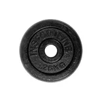Obciążenie żeliwne na gryf inSPORTline CastCzech 1,25 kg 30 mm
