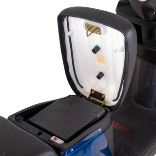 Skuter elektryczny W-TEC Raike 10" - Niebieski-czarny