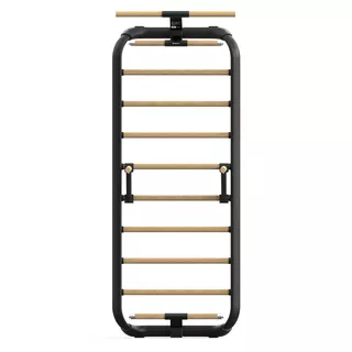 Wielofunkcyjna drabinka gimnastyczna inSPORTline Wootalux 220x86 cm