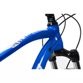 Rower górski Devron Riddle Man 2.9 29" - 221RM - Glossy Blue