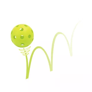 Zestaw do pickleballu z siatką inSPORTline RPS300
