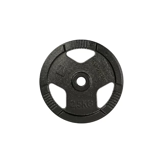 Obciążenie żeliwne inSPORTline Hamerton Black 2,5 kg ∙ otwór 30 mm ∙ praktyczne uchwyty ∙ odporna powłoka