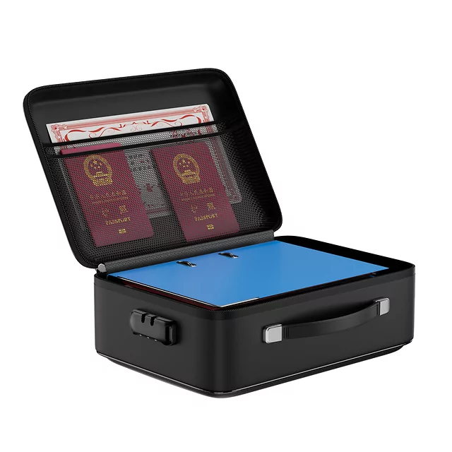 Usztywniana walizka ochronna z organizerem inSPORTline Dorcuba 37x27,5x13,5 cm ∙ na laptop ∙ wbudowany zamek ∙ wodoodporna ∙ ognioodporna