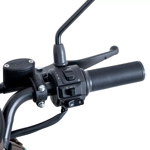 Skuter elektryczny czterokołowy W-TEC Lubica II - Zielony