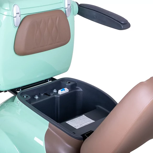Skuter elektryczny czterokołowy W-TEC Lubica II - Zielony