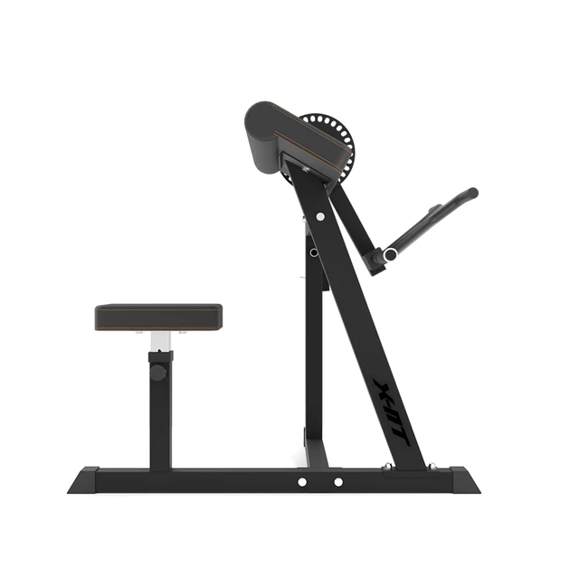 Ławka treningowa do ćwiczeń inSPORTline X-NT BT20 Biceps i Triceps Curl