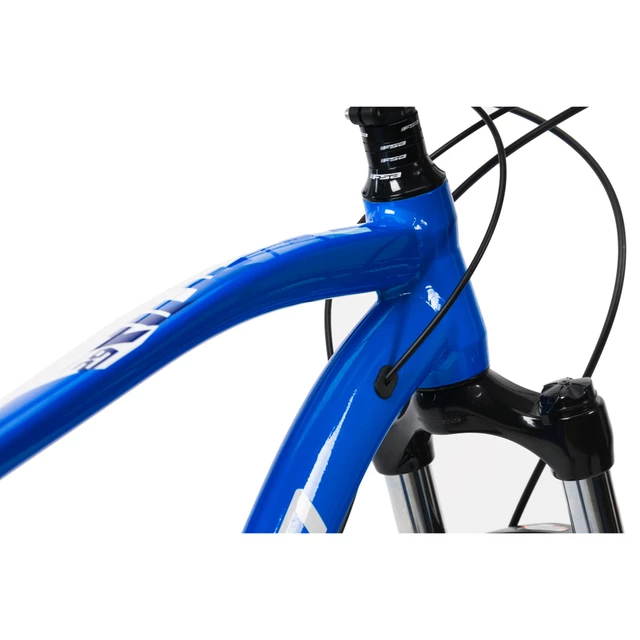 Rower górski Devron Riddle Man 2.9 29" - 221RM - Glossy Blue