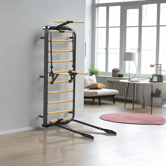Wielofunkcyjna drabinka gimnastyczna inSPORTline Wootkit 220x86 cm