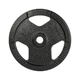 Obciążenie żeliwne inSPORTline Hamerton Black 10 kg ∙ otwór 30 mm ∙ praktyczne uchwyty ∙ odporna powłoka