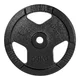 Obciążenie żeliwne inSPORTline Hamerton Black 20 kg ∙ otwór 30 mm ∙ praktyczne uchwyty ∙ odporna powłoka