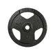 Obciążenie żeliwne inSPORTline Hamerton Black 5 kg ∙ otwór 30 mm ∙ praktyczne uchwyty ∙ odporna powłoka
