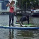 Damski sportowy top koszulka Jobe Discover - Czarny