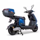 Skuter elektryczny W-TEC Raike 10" - Niebieski-czarny