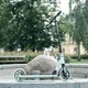 Hulajnoga amortyzowana składana inSPORTline Wayomint