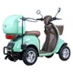 Skuter elektryczny czterokołowy W-TEC Lubica II - Zielony