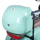 Skuter elektryczny czterokołowy W-TEC Lubica II - Zielony