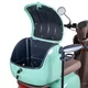 Skuter elektryczny czterokołowy W-TEC Lubica II - Zielony