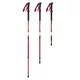 Kijki trekkingowe inSPORTline Altiplano 100 Pair czerwone