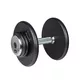 Jednoręczne hantle stalowe inSPORTline ProfiST 2,5-50 kg