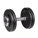 Jednoręczne hantle stalowe inSPORTline ProfiST 2,5-50 kg
