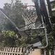 Zbieracz piłek do koszykówki inSPORTline Havaster