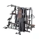 Atlas do ćwiczeń inSPORTline Profigym C300 - OUTLET