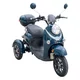 Trójkołowy skuter elektryczny inSPORTline Tarra ∙ dwumiejscowy ∙ 800 W ∙ zasięg do 45 km ∙ nośność 200 kg ∙ bieg wsteczny - Gray Blue