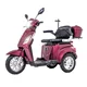 Skuter elektryczny trójkołowy inSPORTline Zorica  ∙ napęd 1000 W ∙ 3 tryby prędkości ∙ zasięg 45 km - Czerwony - Bordowy